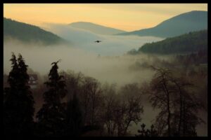 Warsztaty - Zarządzanie firmą w nurcie wellbeing